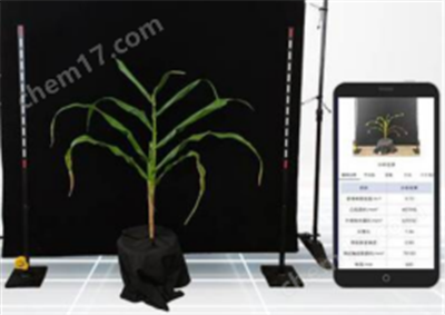 玉米表型檢測系統